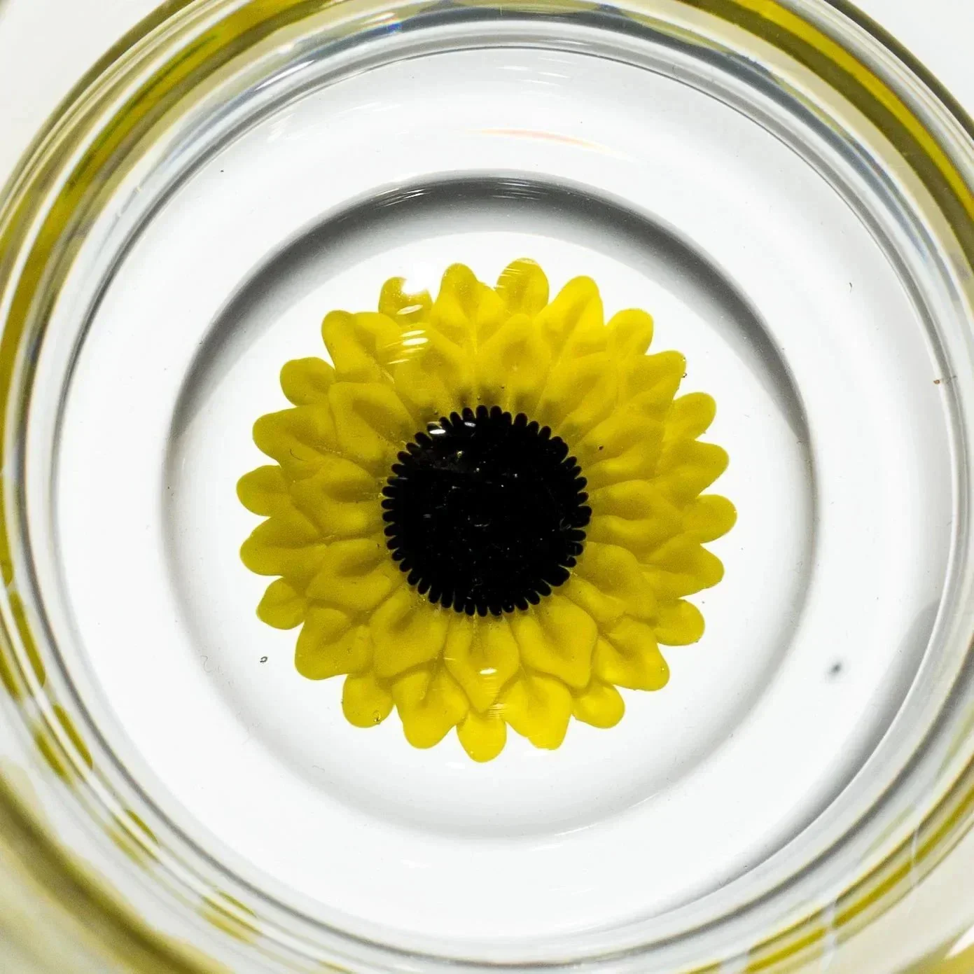 Glass By Blake - Sunflower Pilsner Glass - Image 2