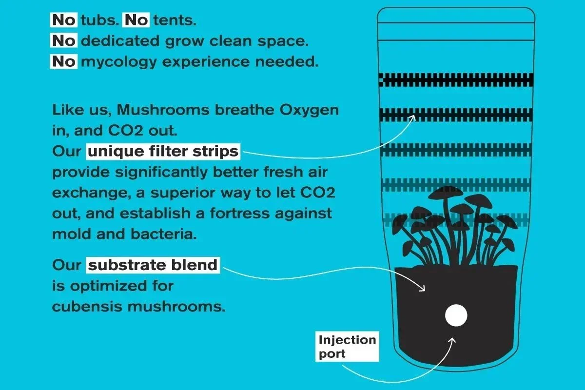 Shrüm - All In One Mushroom Grow Kit - Image 3